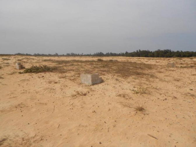 Litige foncier à Mbane : les populations s’opposent à l’octroi de 8000 hectares à un promoteur