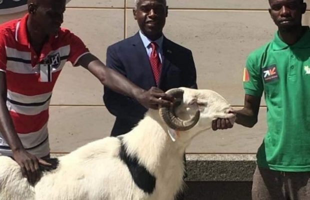 Macky Sall, l’ambassadeur des États-Unis et le mouton de Tabaski