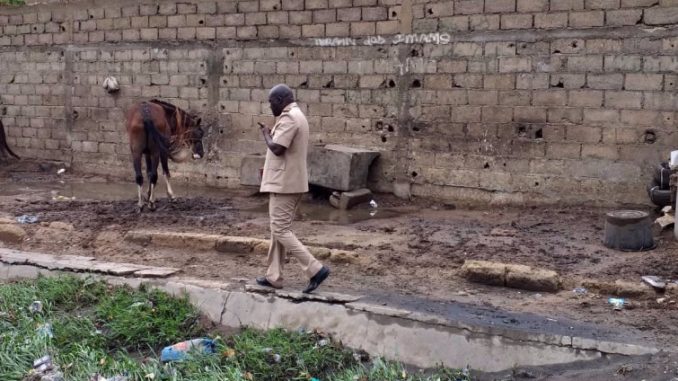 LE PRÉFET DE DAKAR À LA TROUSSE DES CHARRETIERS