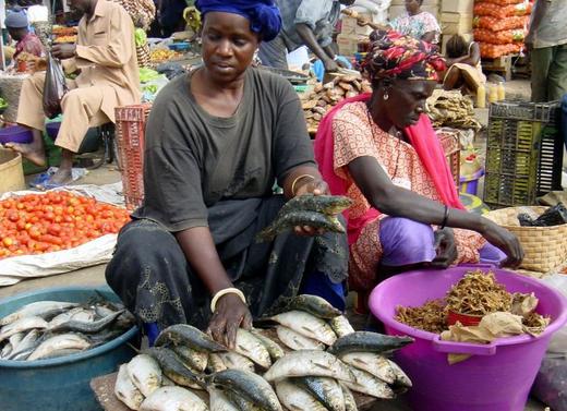 Désencombrement : Le marché Castors sera fermé
