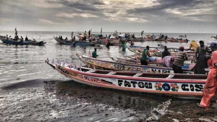 Guinée Bissau: Une centaine de pêcheurs sénégalais arrêtés