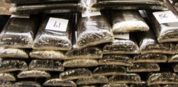 Dakar : 2,5 tonnes de cocaïne, pour une valeur de 100 milliards FCFA, saisies en 4 mois