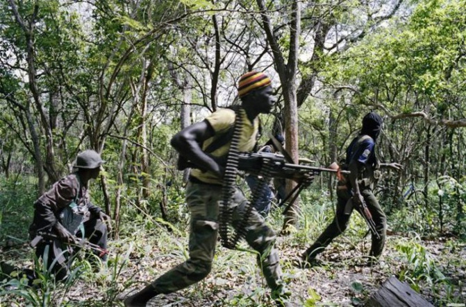 Niassya: Une bande armée attaque une boutique, une importante somme d’argent emportée