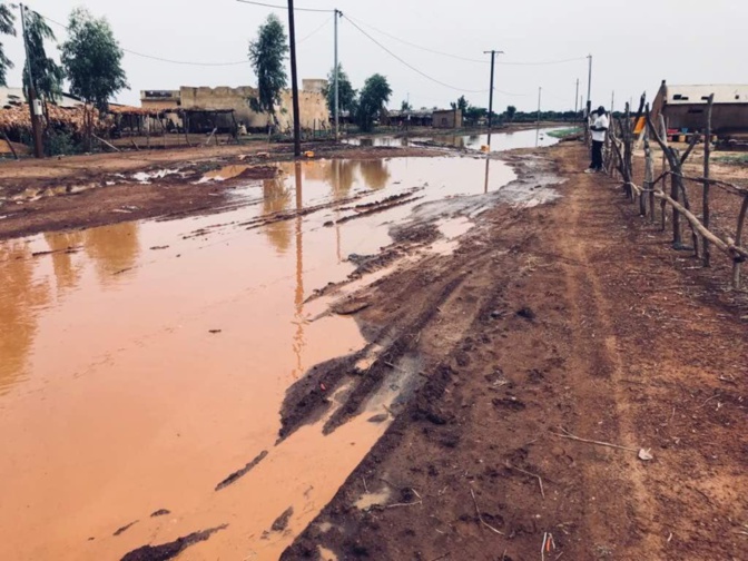 Bitumage de l'axe Nawel-Dembakané: Des ressortissants de Matam marchent vendredi à Dakar