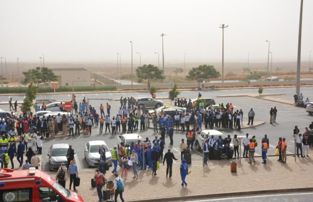 Aéroport international Blaise Diagne: Un Algérien voulait exporter frauduleusement 131 perroquets
