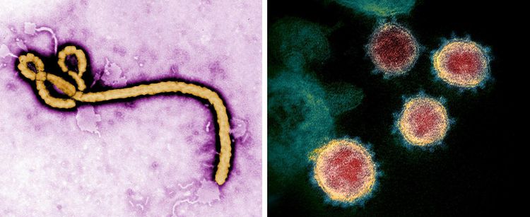 Covid-19 : où en sont les traitements et vaccins ?