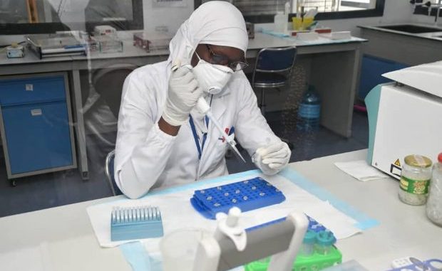 Essai clinique : Sénégal choisi pour tester l’artémisia sur le covid19