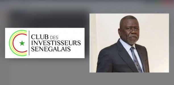 Soutien à Akilee : Cascade de démissions au Club des investisseurs sénégalais