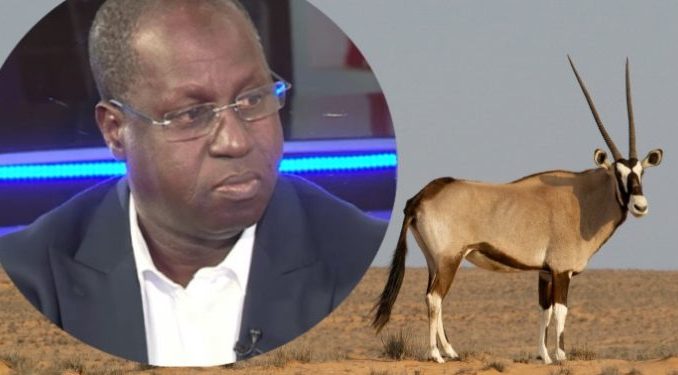 El Hadj Cheikh Anta Seck «Apres Abdou Karim Sall il y’a aussi un autre ministre qui a pris des gazelles Oryx… »