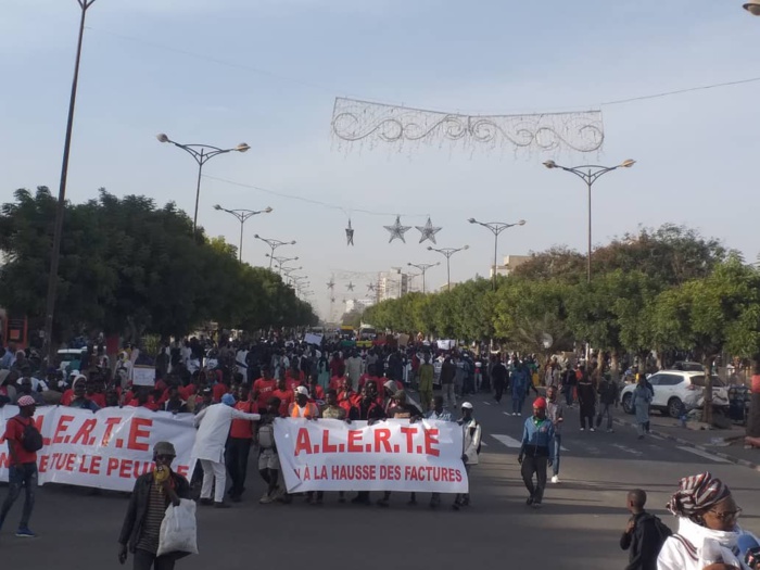 Marche vendredi : Aar li nu bokk», «Noo Lank» et «Doyna » s’activent !