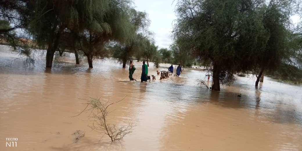 Les images des dégâts de la pluie à Linguére