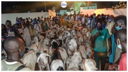 Sokhna Bator donne 2.600.000 fcfa de hadiya et Sokhna Adja Saliou donne 5.200.000 fcfa.