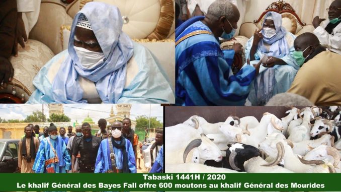Tabaski 2020 : Le khalife des Bayes Fall offre 600 moutons à Serigne Mountakha…