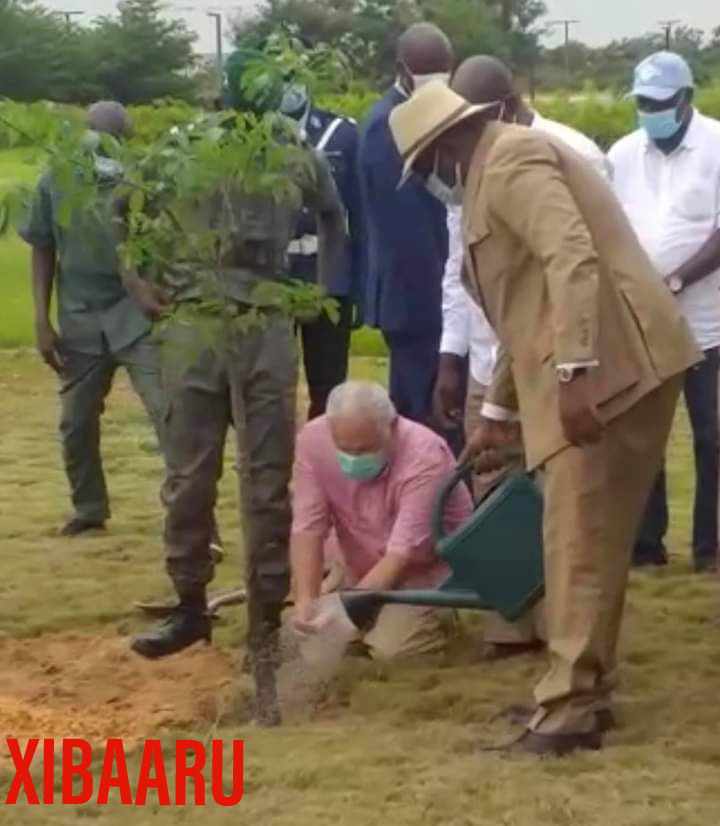 Journée De L’arbre 2020 : Macky Corrige Le Ministre De L’Environnement