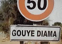 Drame à Tirane Tanghor (Notto-Gouye Diama) : Un homme abat à coups de machette son ami et prend la poudre d'escampette