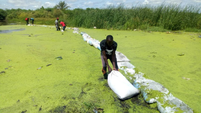Inondations : Le calvaire quotidien des populations de la Cité Mame Alpha Mayoro Wéllé de la commune de Gaë.
