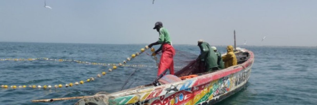 Sécurité en mer au Sénégal : vers une ‘’solution innovante’’ de suivi VMS adaptées aux petites embarcations pour leur géolocalisation