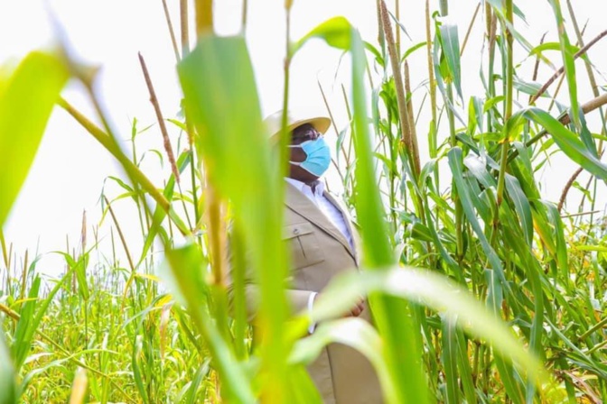 En images - Tournée économique: Macky Sall démarre par "Jamm Bugum"