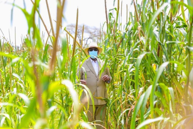 En images - Tournée économique: Macky Sall démarre par "Jamm Bugum"