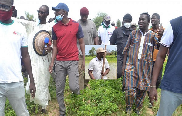 En visite dans les régions: Quand Ousmane Sonko expérimente les vacances agricoles patriotiques…
