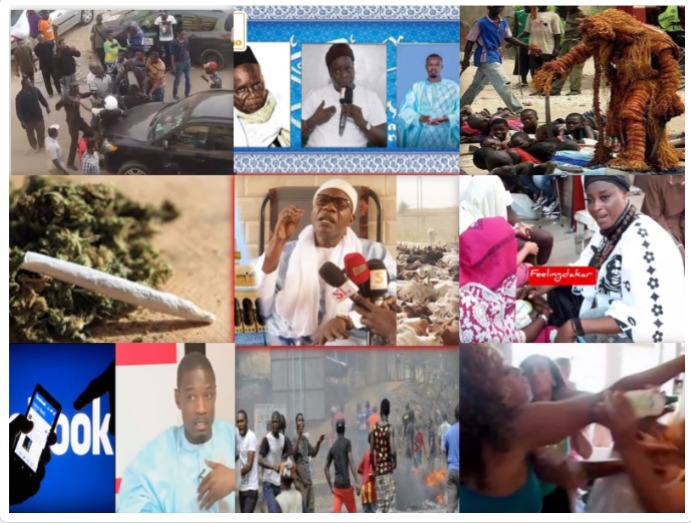 100/100 peoples: Magal Touba plusieurs bœufs de Serigne Saliou Thioun volés bagarres une fille poignarde sa rivale pour un garçon de 15ans