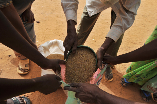 Insécurité alimentaire et crise nutritionnelle au Centre Sahel : Des agences des Nations-Unies appellent à l’assistance aux plus vulnérables