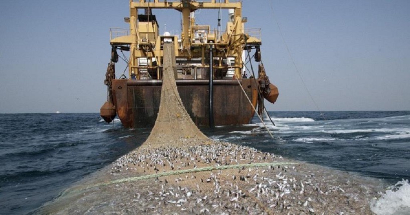 A bord de leurs bateaux, des Chinois pêchent 8 corps aux larges des côtes dakaroises