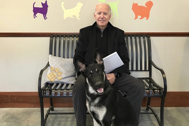 Etats-Unis : le nouveau président Joe Biden s’est fracturé le pied en jouant avec son chien