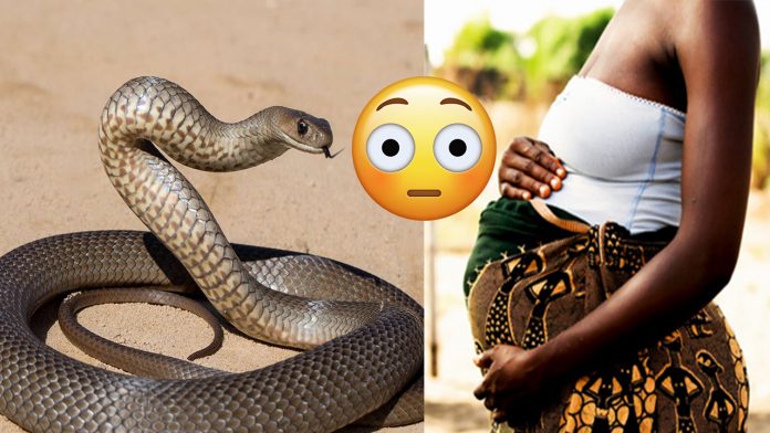 Kawtef – femme bi lou yémé moko dal,dafa eumbeu diane « serpent » té amoul dieukeur…
