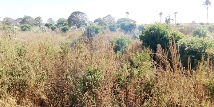 Urgent – Le cimetière de Soumbédioune prend feu ! Voici les images…