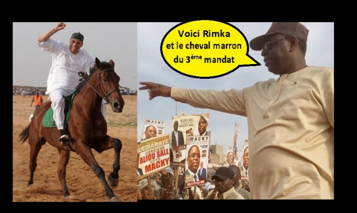 Révélations ! les négociations secrètes entre Macky et Karim Wade