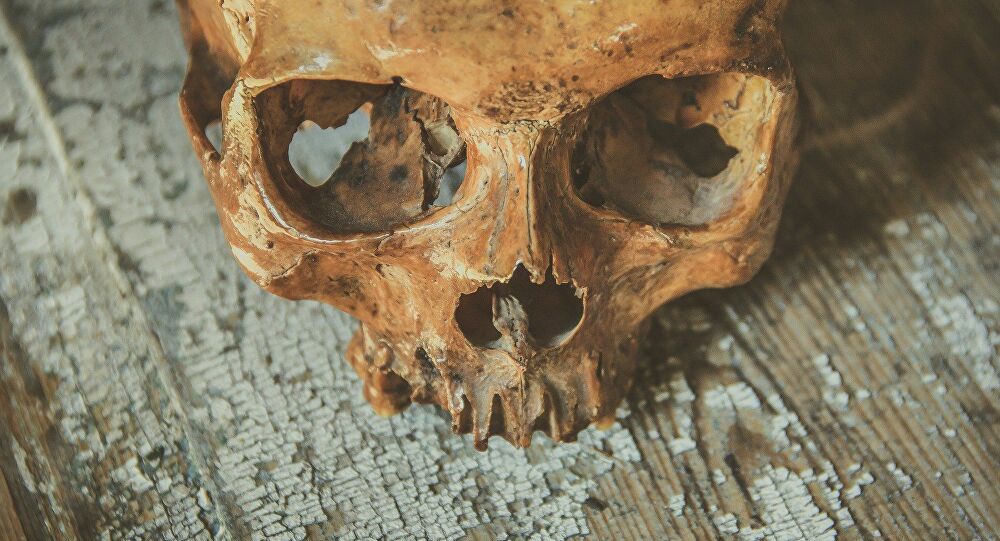 Le mystère de ce crâne isolé retrouvé dans une grotte d’Italie résolu