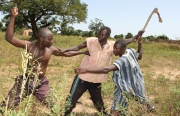 Alerte au Waalo : une vive tension notée entre paysans et éleveurs