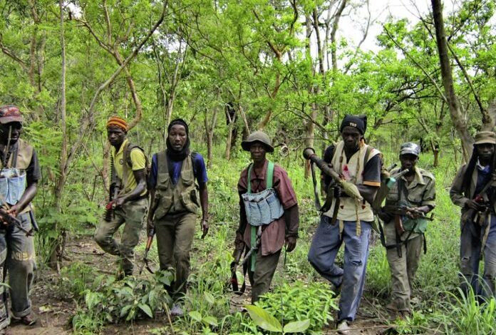 Casamance : Des ailes politiques du MFDC veulent déposer les armes
