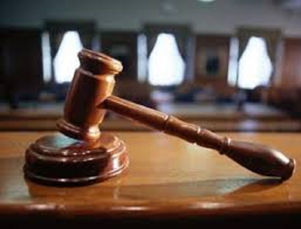 Craintes autour de l’article 238 : Birahime Seck plus en profondeur