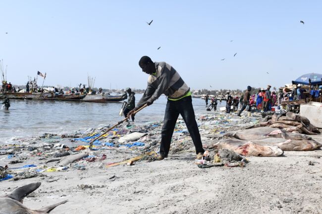 Hann-Gestion des déchets solides sur la plage : Une brigade de la propreté créée