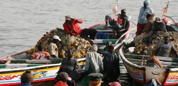 Arrestation de 100 pêcheurs sénégalais en Guinée: Joal interpelle le Chef de l’Etat