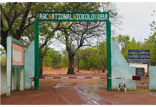 Environnement – Le parc déclaré patrimoine en péril : L’Etat veut sauver le Niokolo Koba
