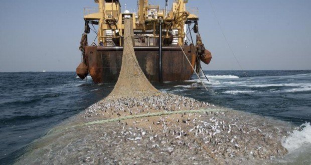 7 pays ouest-africains s’accordent pour lutter contre la pêche illicite qui coûte près de 2 milliards d'euros de pertes par an