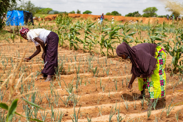 Réponse aux Covid-19, aux conflits et changement climatique au Sahel : Le G5 Sahel et des Agences de l’Onu lancent un programme conjoint