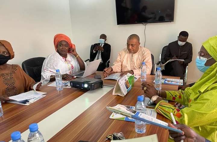 Coopération bilatérale : Quand le Niger s’inspire du FAISE pour sa Diaspora