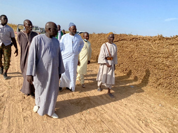 PHOTOS+VIDEO: Travaux champêtres accomplis avec la satisfaction de Serigne Cheikh Saliou Mbacké