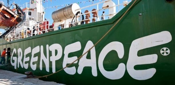 Préservation des activités de la pêche : Greenpeace Afrique réclame des actes forts de la part de l'Etat du Sénégal