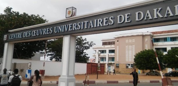 Agrégation Cames : Le modèle de réussite de la faculté de médecine