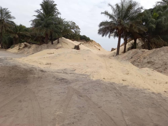 Drame écologique à Kayar: Des dunes de sable rasées (en cours) par des exploitants véreux