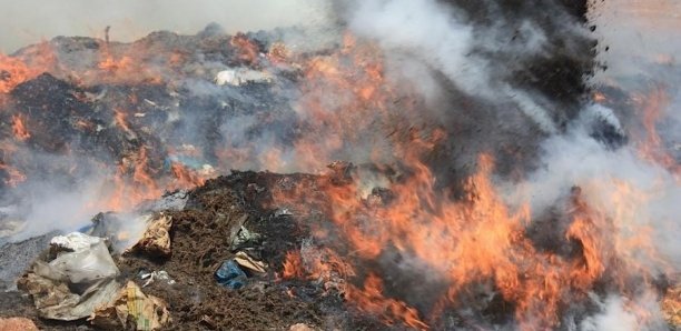 Touba: 5 tonnes de produits impropres incinérées