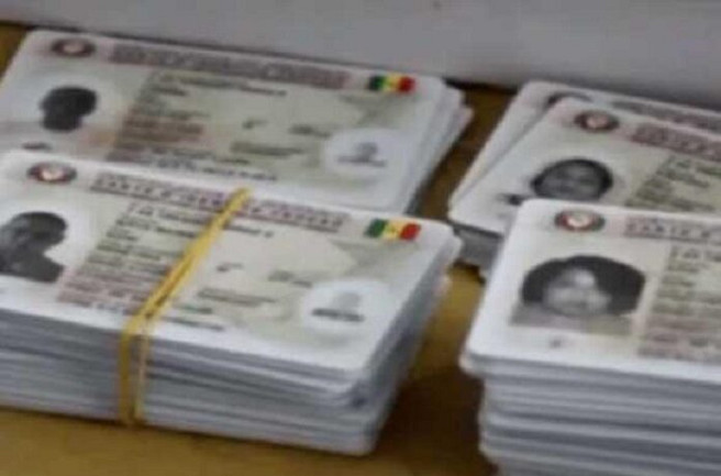 Distribution des cartes d’électeur à Kolda: Un taux de retrait très faible, de 39%, à quelques jours du vote
