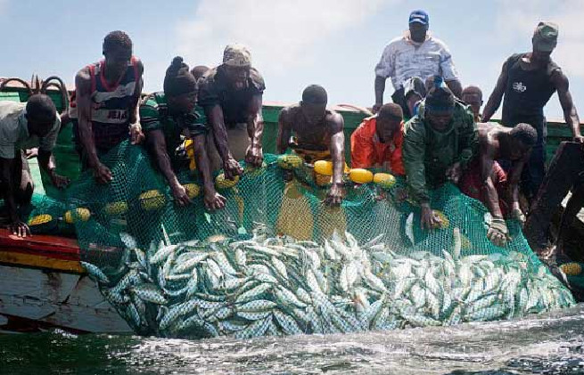 Dures conditions de travail des pécheurs artisanaux en Guinée-Bissau : la validité des licences et la délimitation des pêcheries au centre de leur calvaire