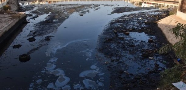 Cadre de vie : Le bassin de Dalifort, un nouveau danger pour des riverains