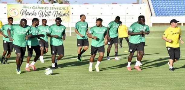 CAN 2021/Sénégal-Cap-Vert : Rugir ou mourir